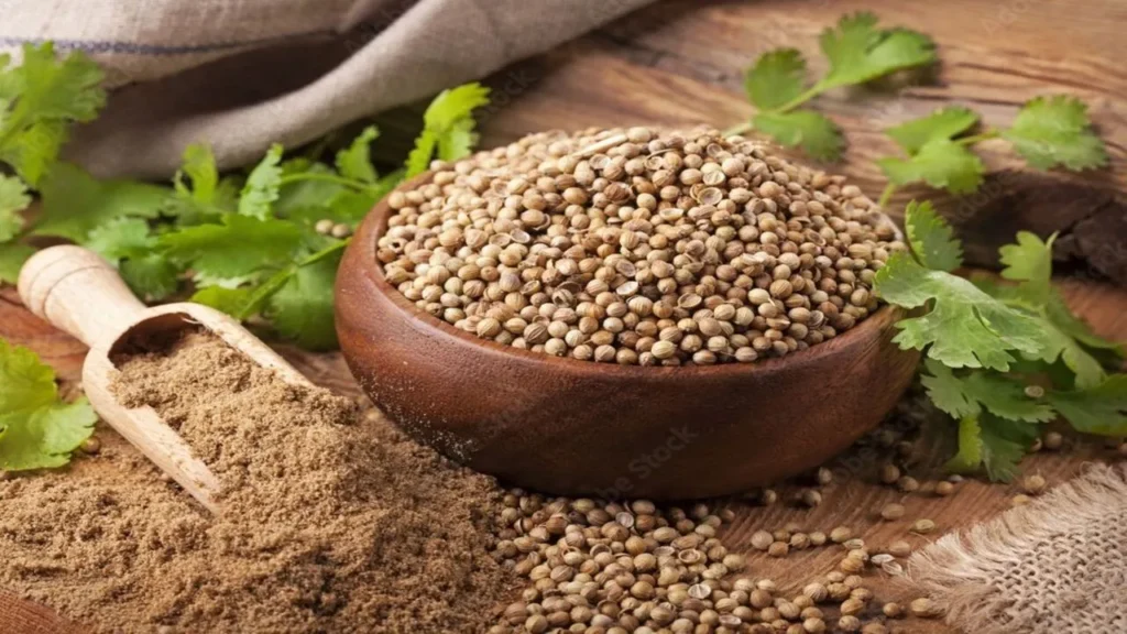 Coriander easy keto vegan recipe