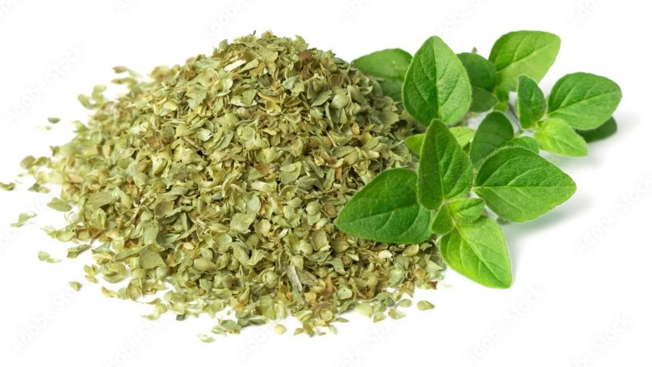 oregano in keto vegan recipes